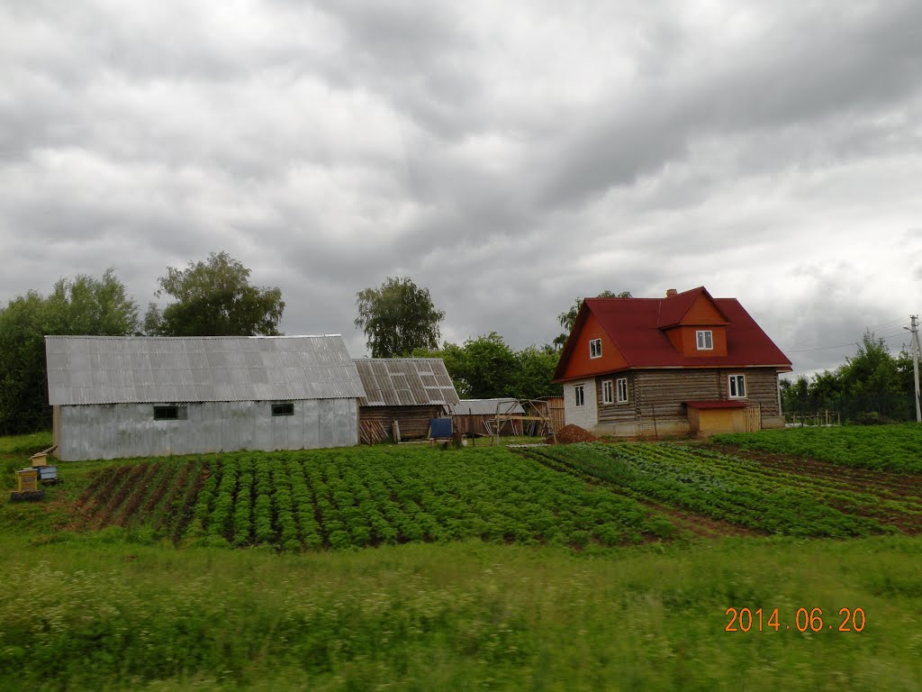 Палкино. Псковская область.