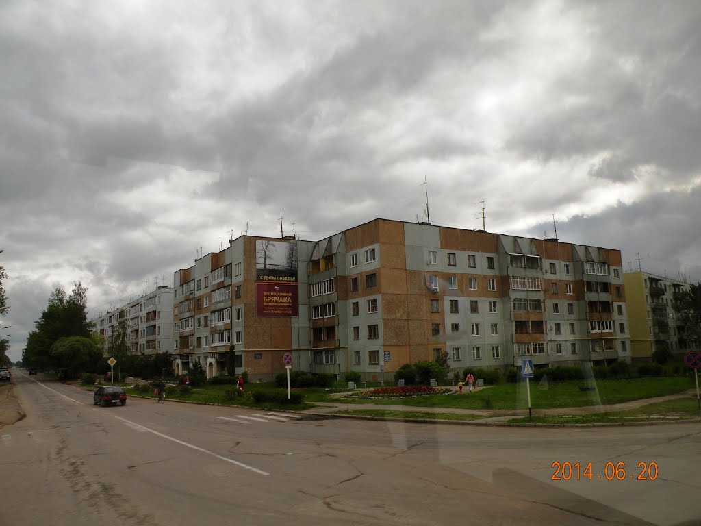 Палкино. Псковская область.