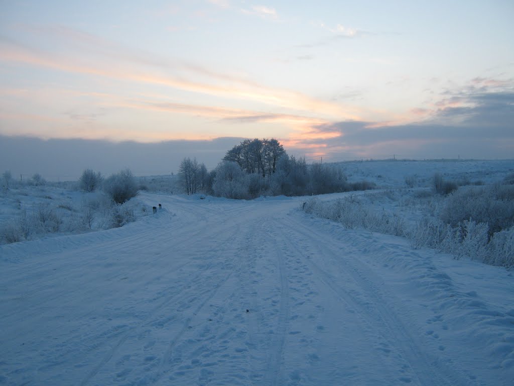 у озера