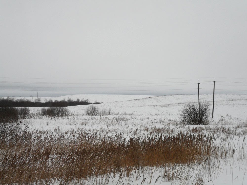 Izborsk