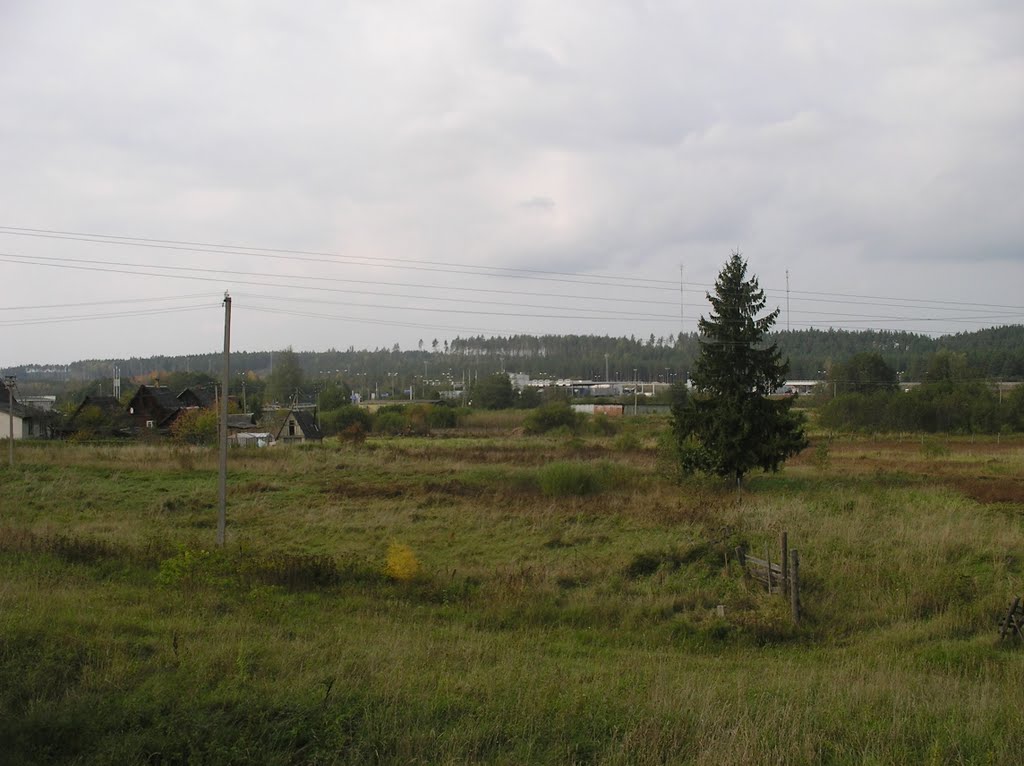 Panorama. У границы.