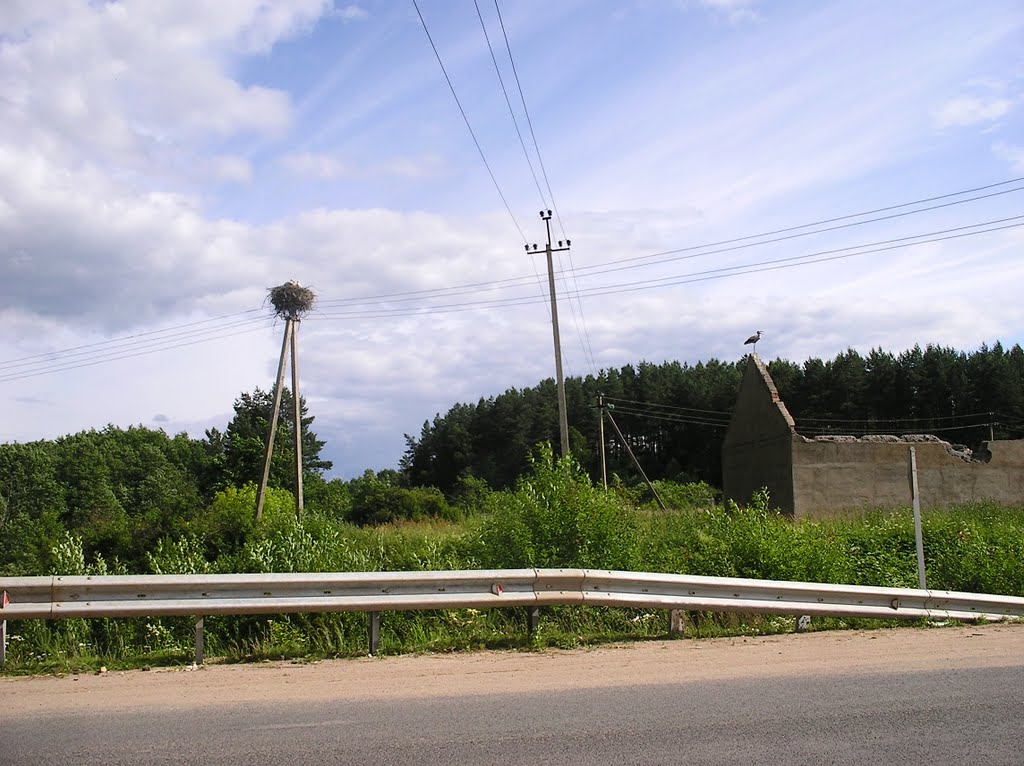 Panorama. Кому граница а кому дом родной.
