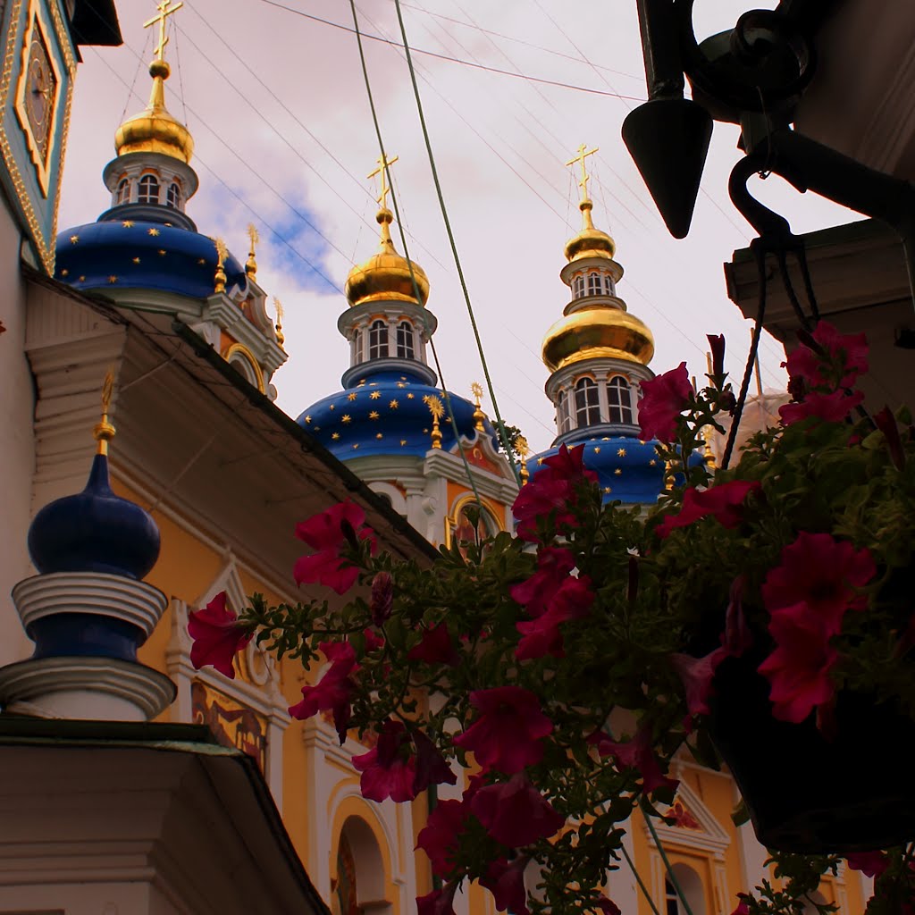 Domes of the Holy Dormition Cathedral