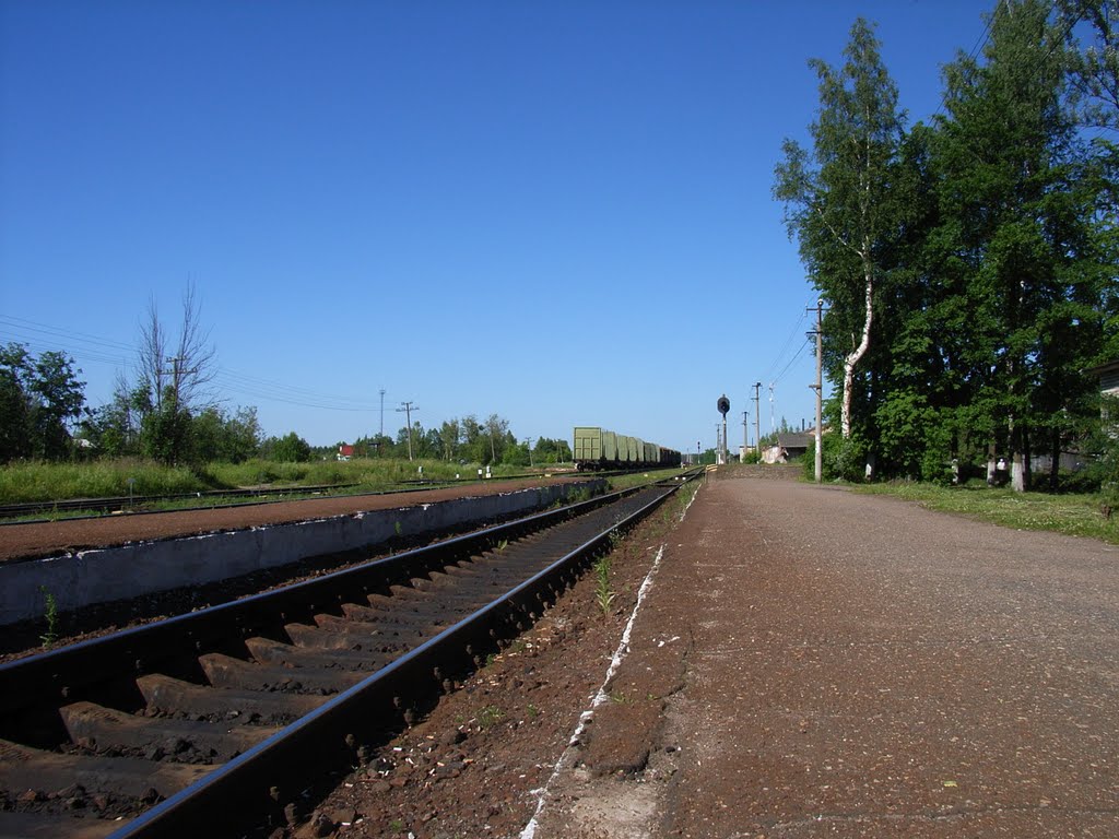 04.07.2010