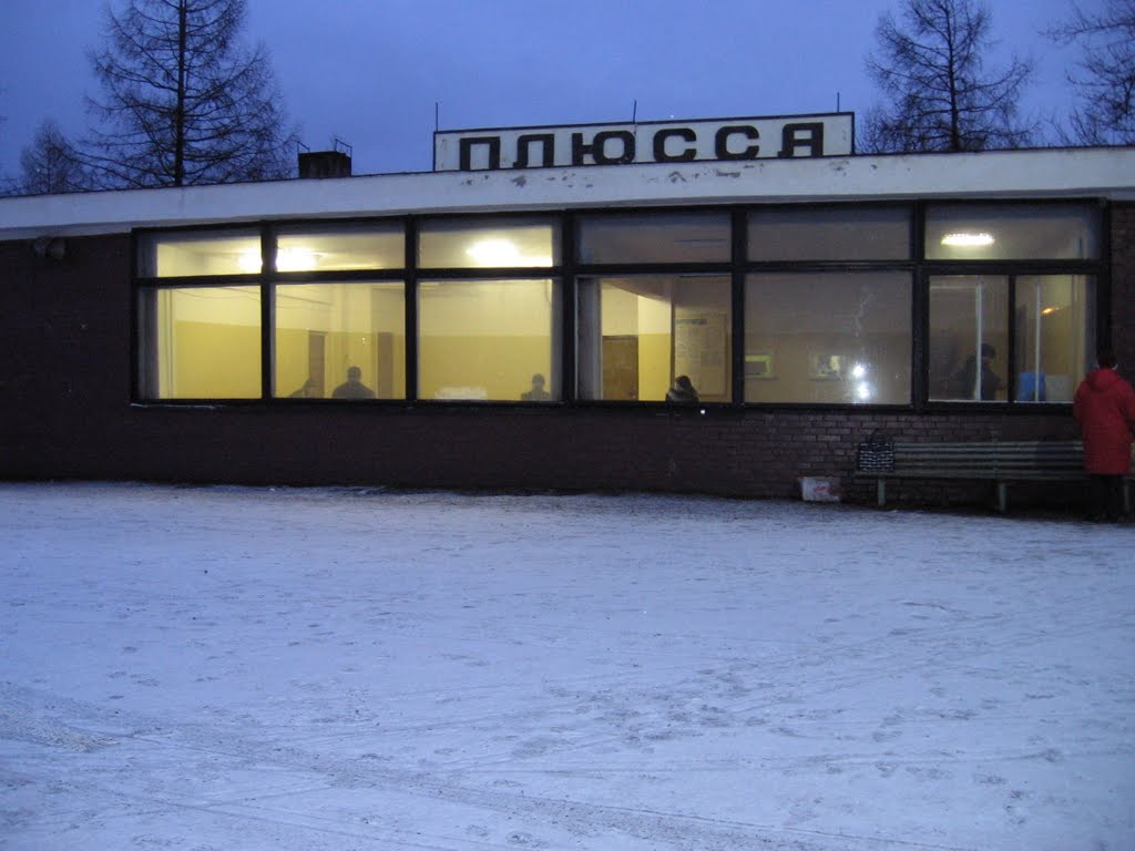 Plyussa