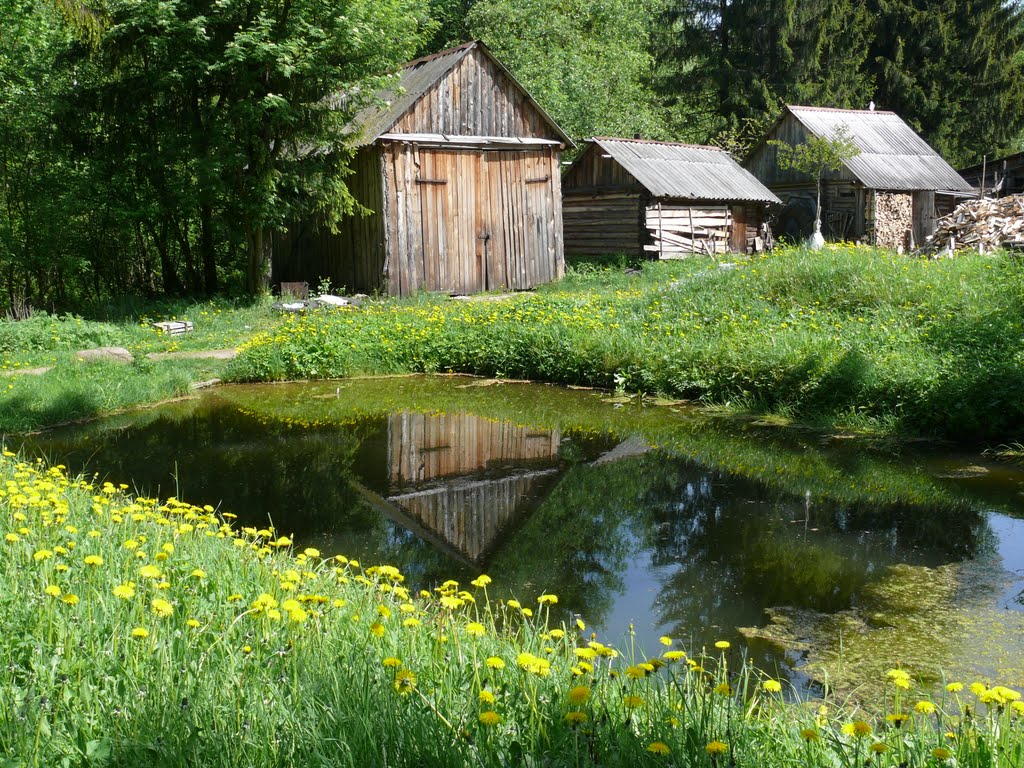 Старый пруд