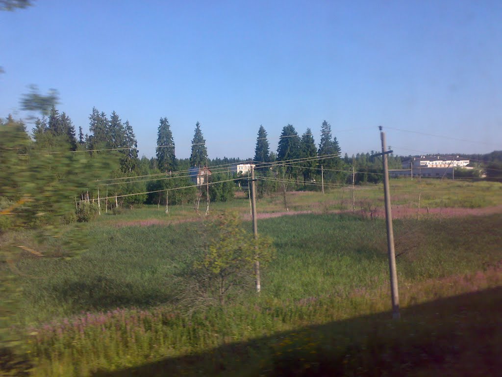 Плюсса