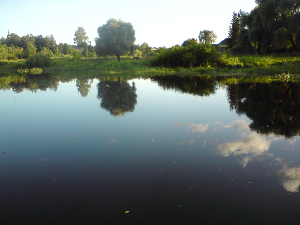 шелонь