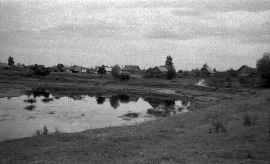 Порхов. Домики на излучине р.Шелони. 07/1956г.
