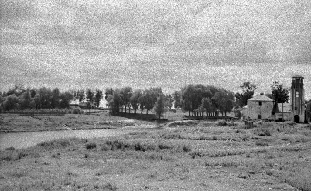 Порхов. р.Шелонь и хозяйственные постройки. 07/1956г.