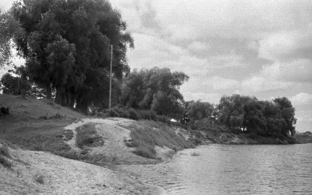 Порхов. Крутые берега р.Шелони. 07/1956г.