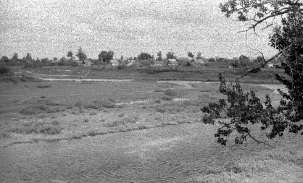 Порхов. Заливная лужайка на р.Шелони. 07/1956г.