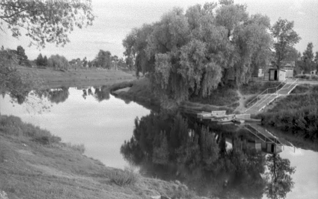 Порхов. Лодочная станция на р.Шелони. 07/1956г.