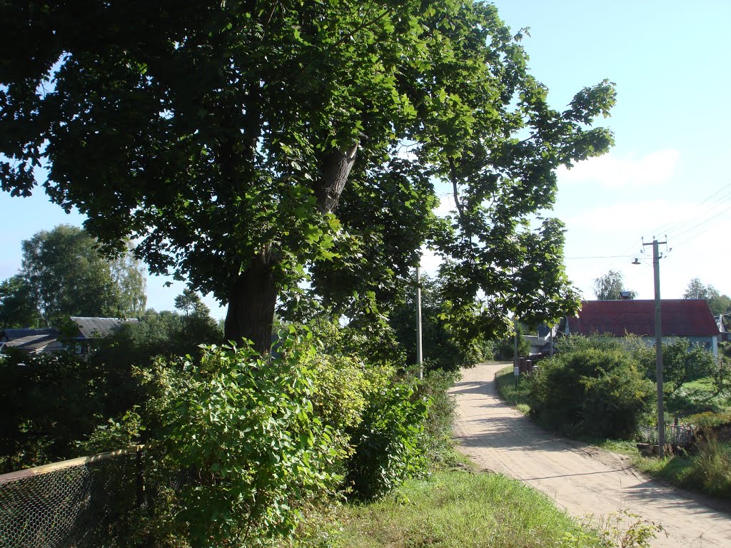 ул. Пригородная