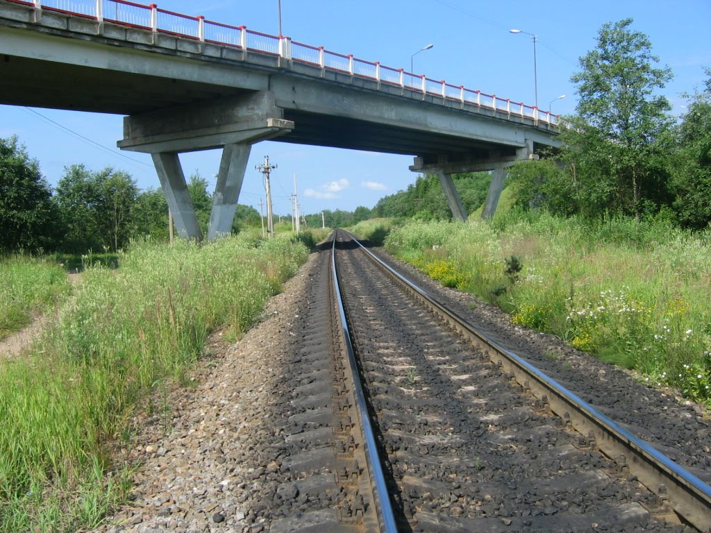 Пустошка, путепровод
