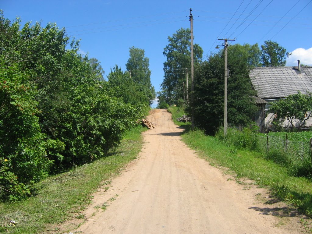 Пустошка, ул.Больничная, 2004