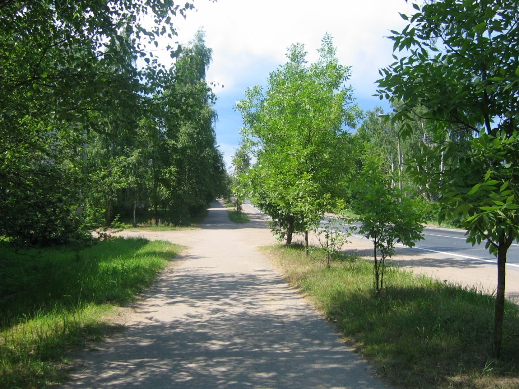 Псковская область, Пустошка, 2005