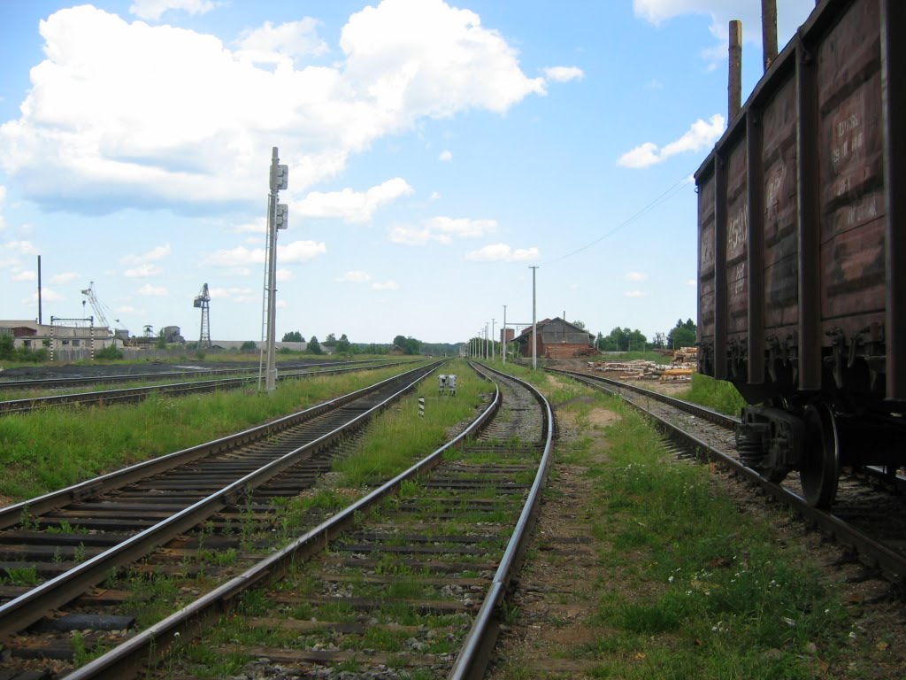 Псковская область, Пустошка, 2005