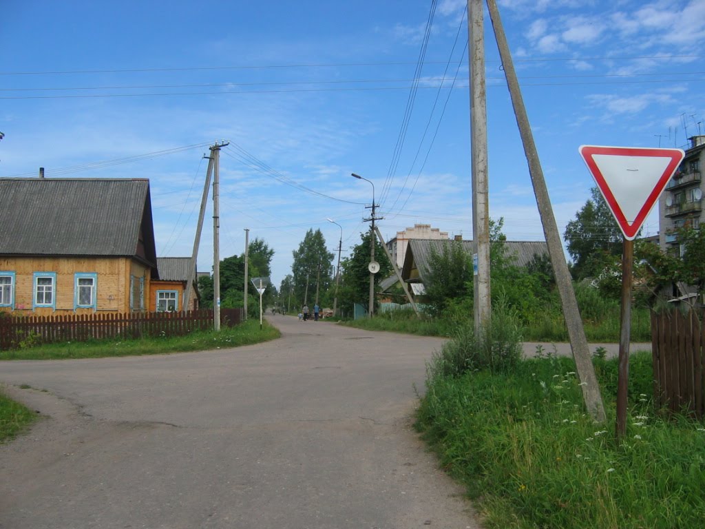 Псковская область, Пустошка, 2005