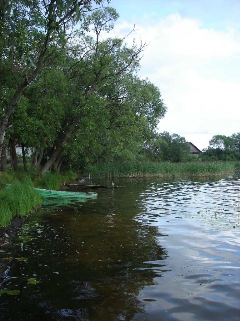 г. Пустошка, озеро, 2007