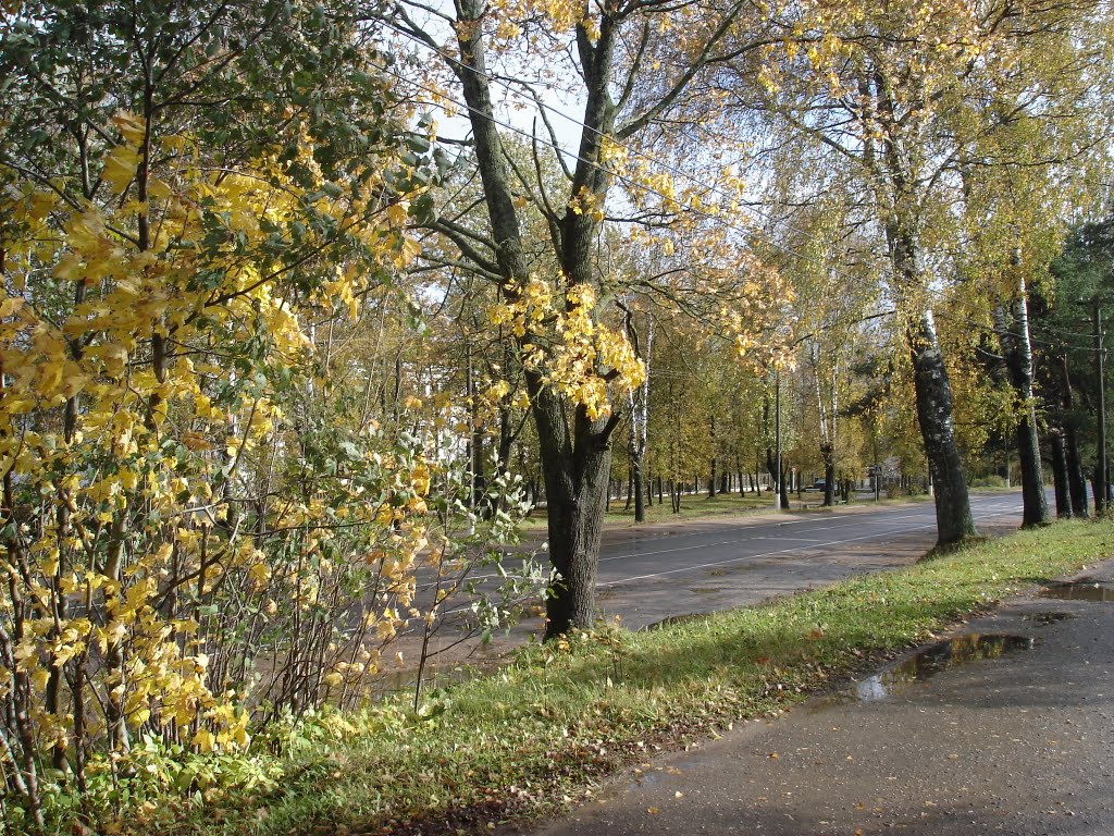 г. Пустошка, районная больница, 2009