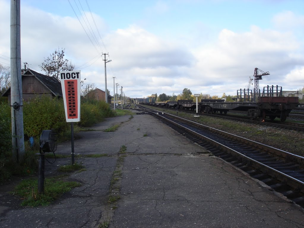 г. Пустошка, станция, осень 2009