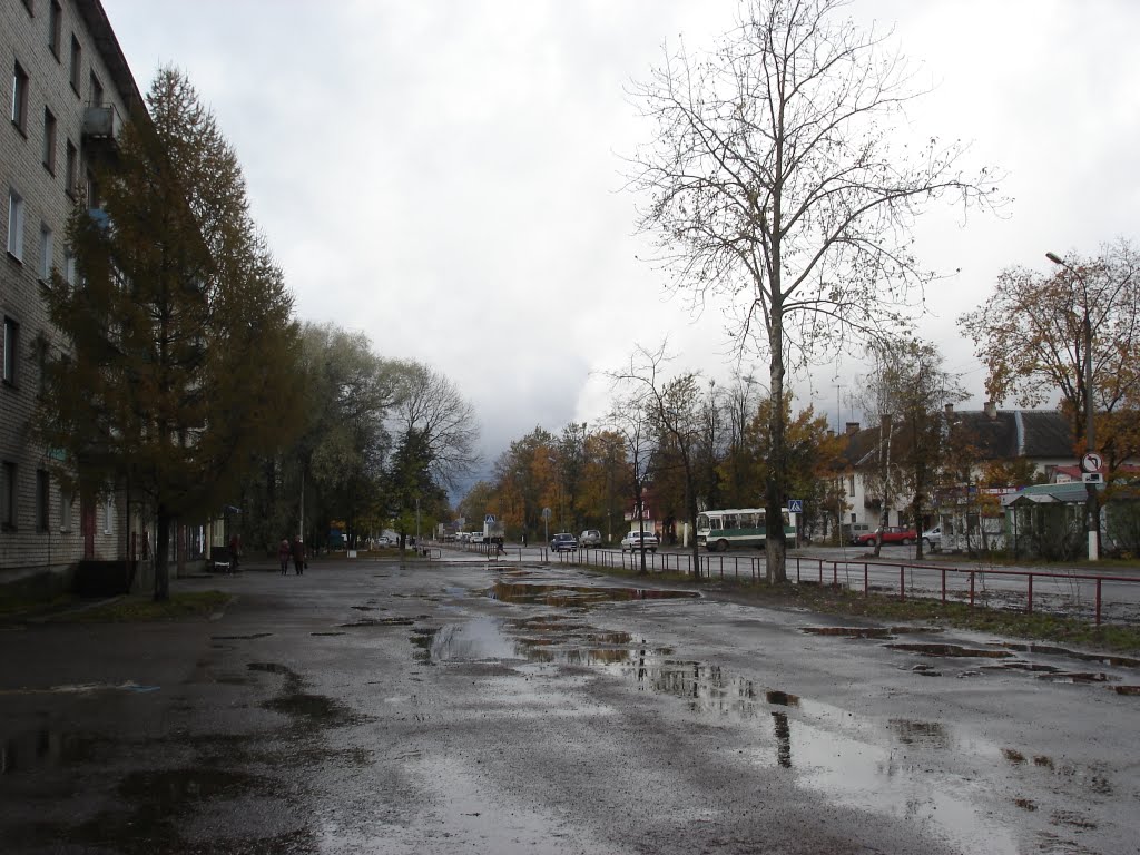 г. Пустошка, осень, 2009