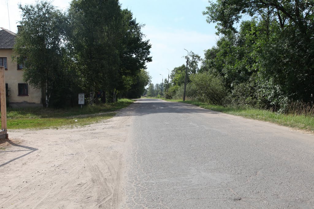 Пустошка. Привокзальная улица. Pustoshka. Railway station street.