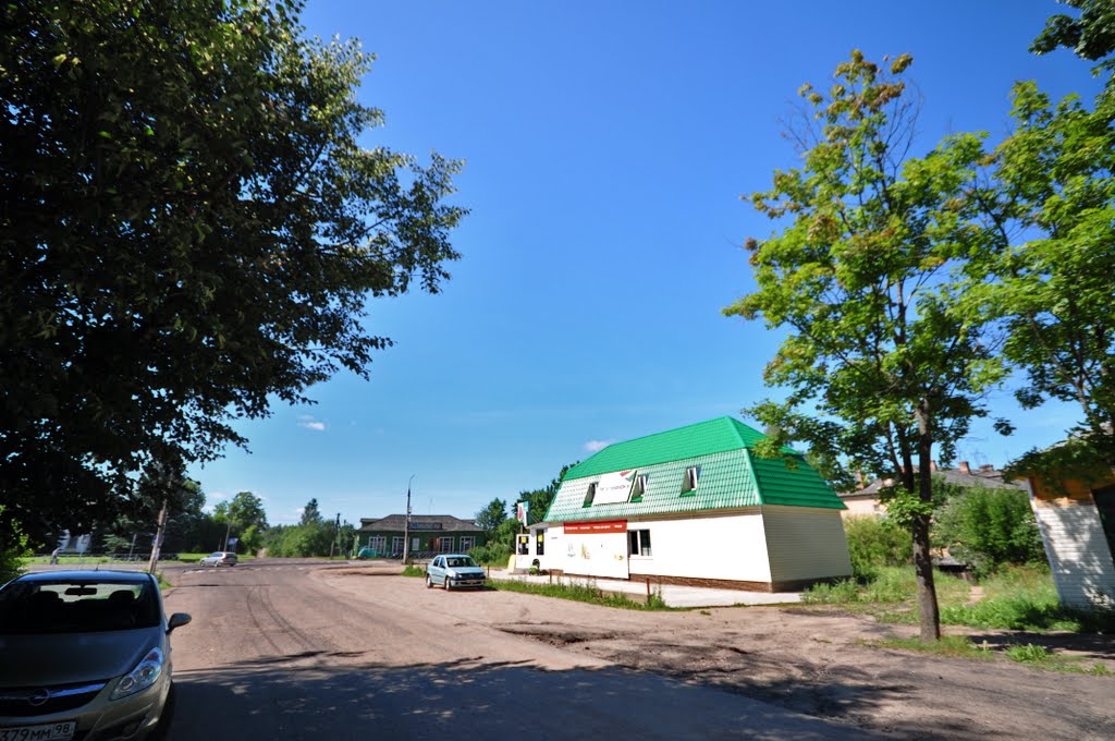 Стрекоза