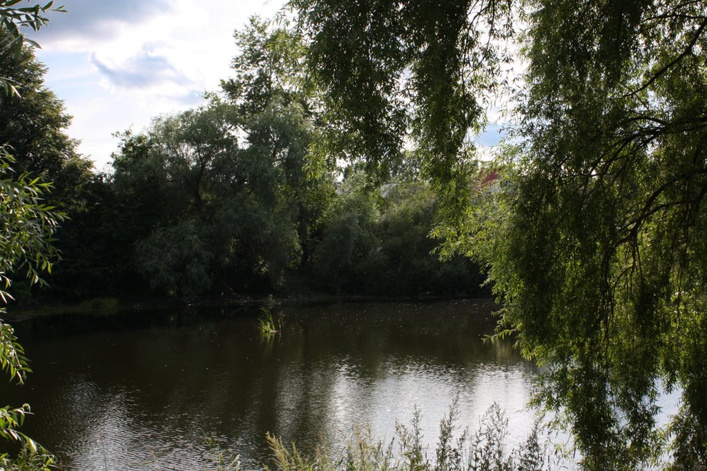 Pond