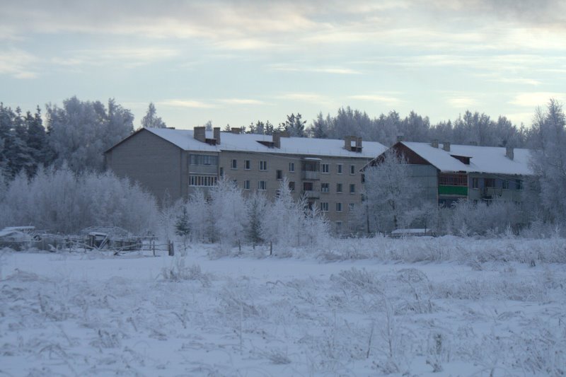 Посёлок Пушкинские Горы
