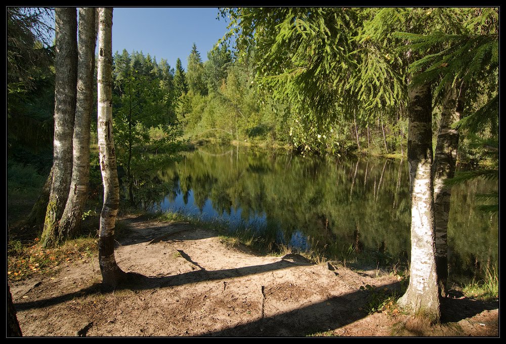 Озерцо у базы. Осень 2011