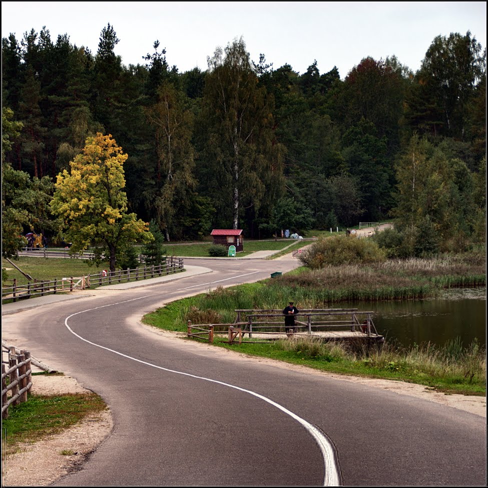 Дорожка в осень