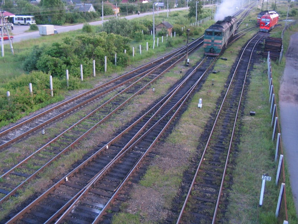 Pytalovo railway station (locomotives)