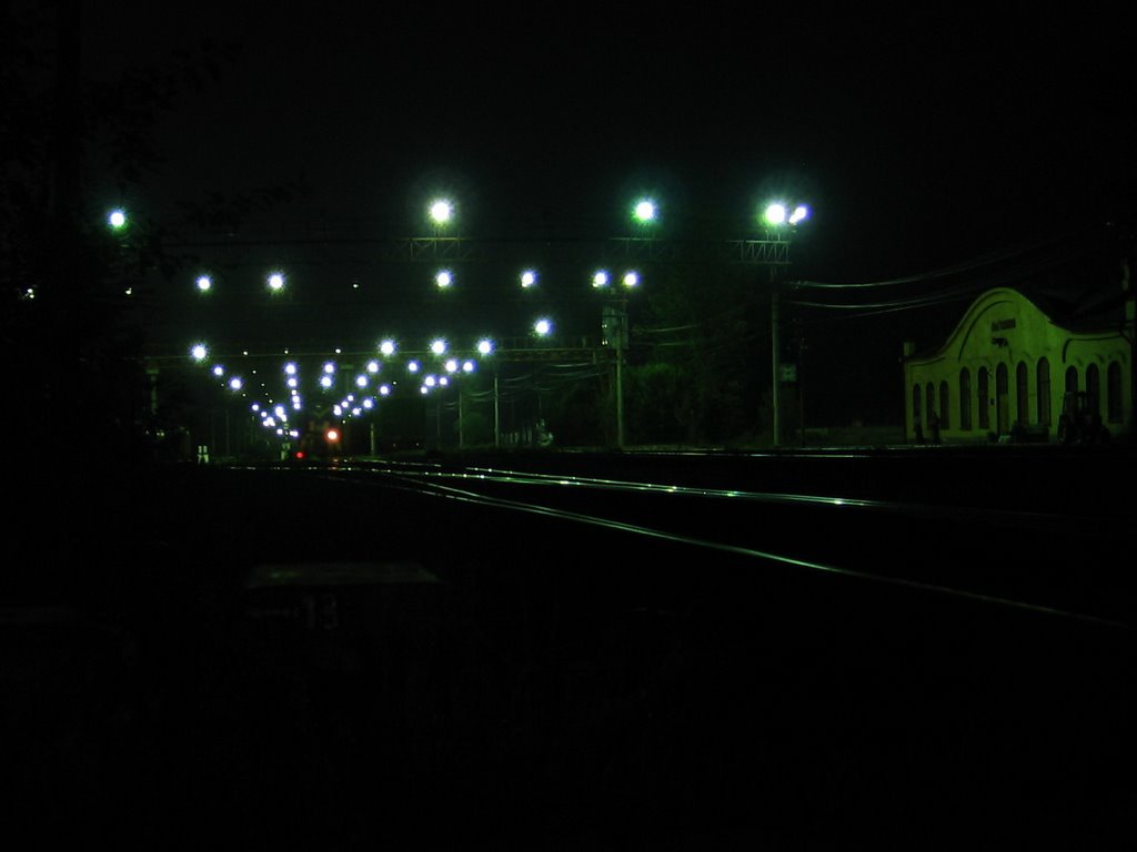 Pytalovo railway station at night
