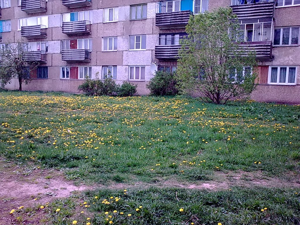 Пыталово
