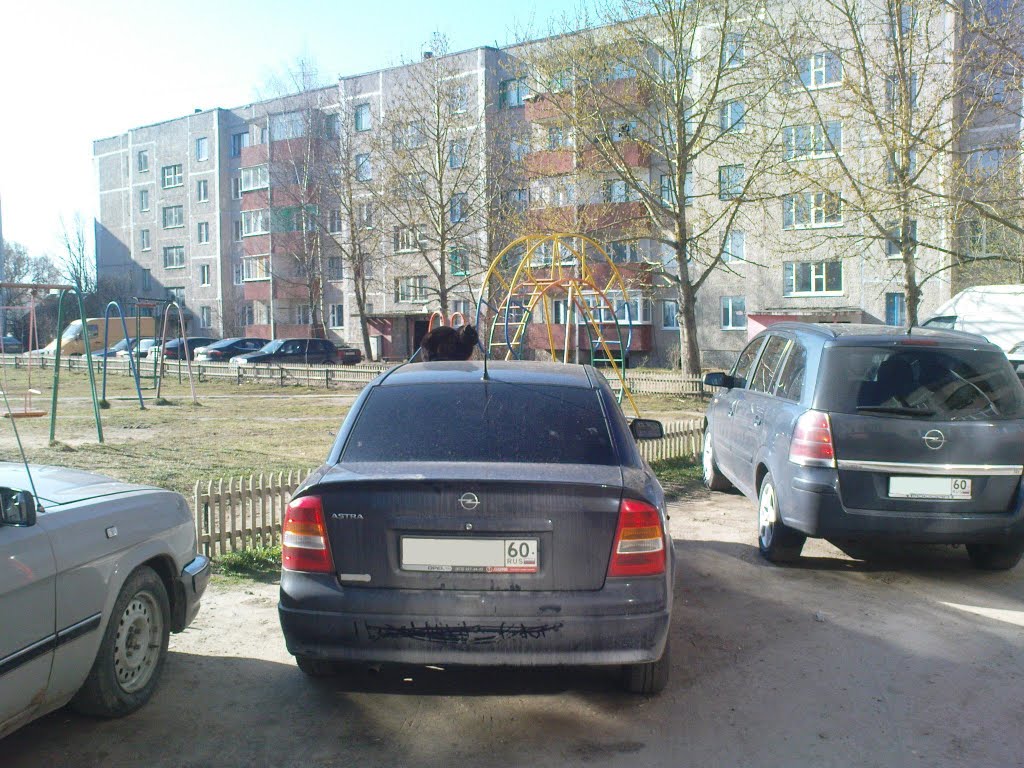 Пыталово, улица Белорусская