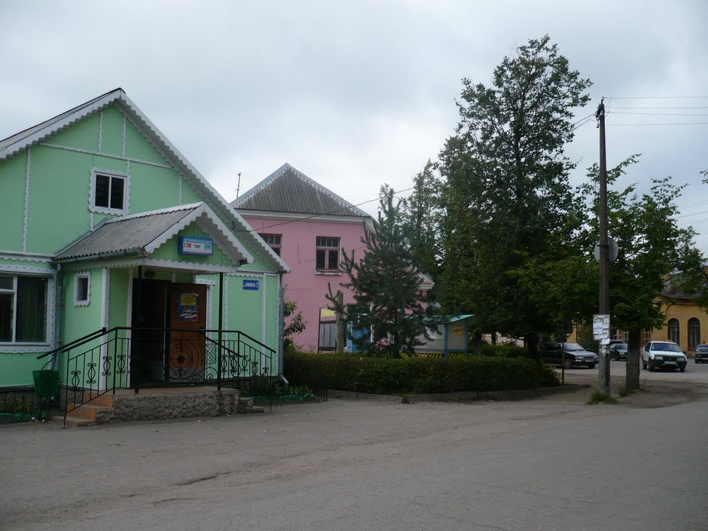 Пыталово, улица Пионерсая