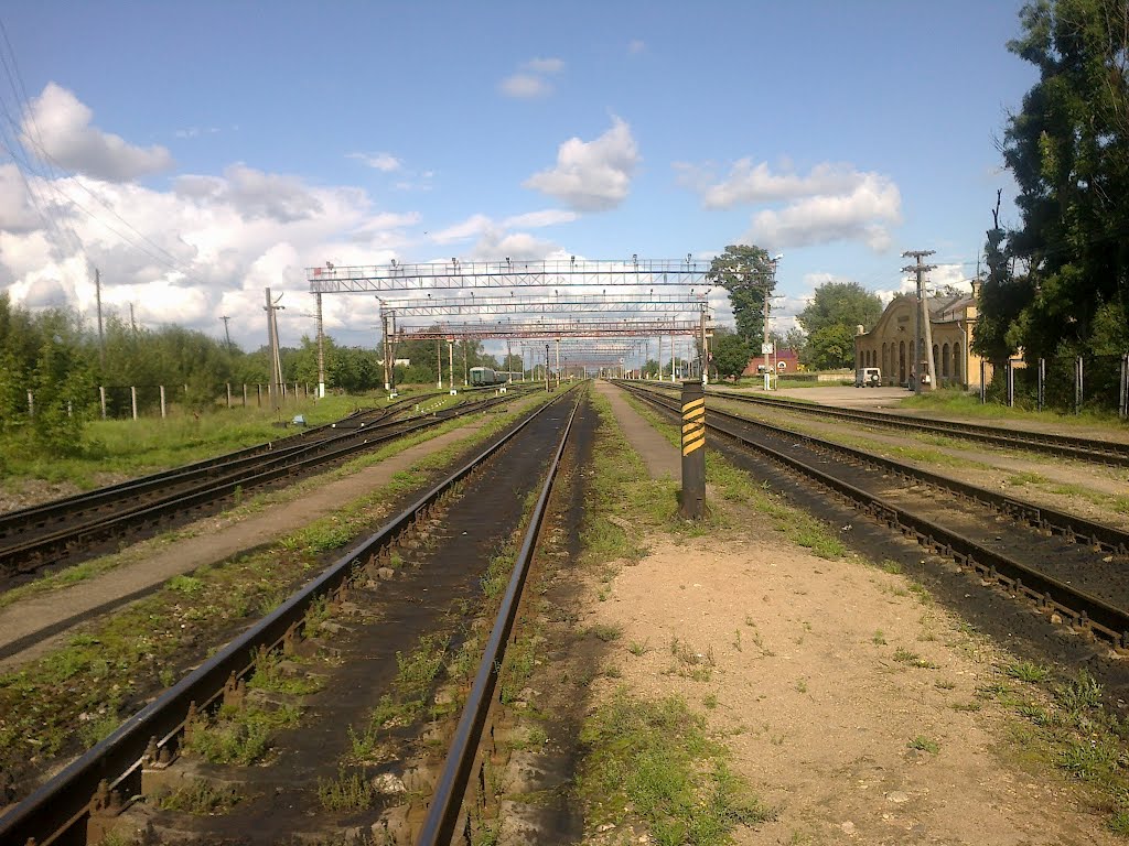 Служебный проход по ст.Пыталово