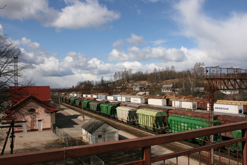 Sebez railroad station