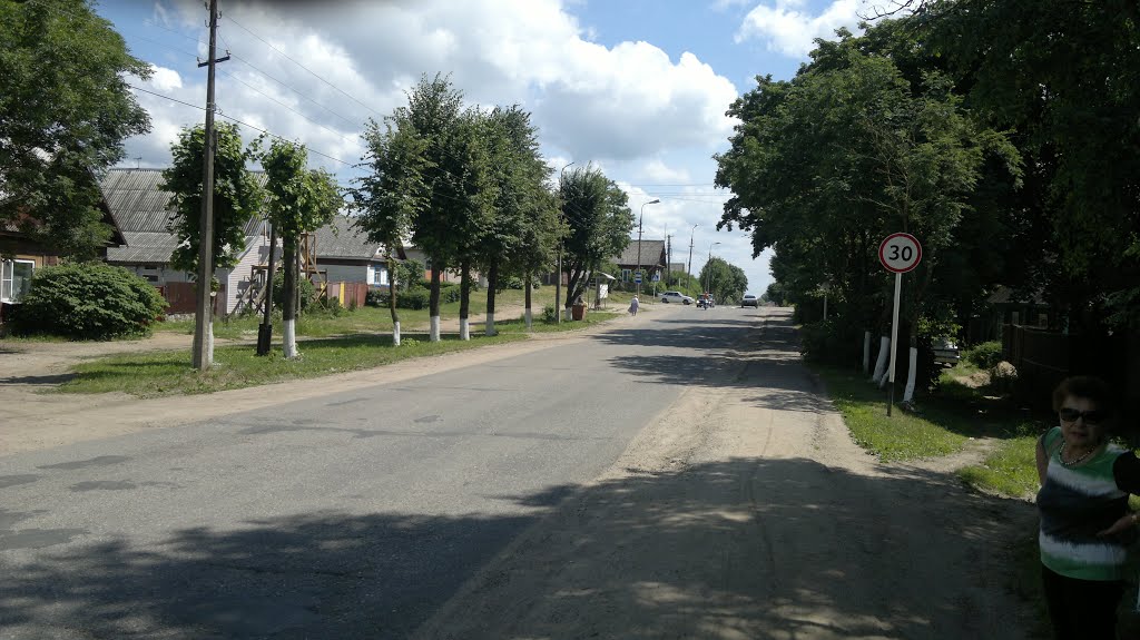 Sebezh. Leninskaja str.07.2013