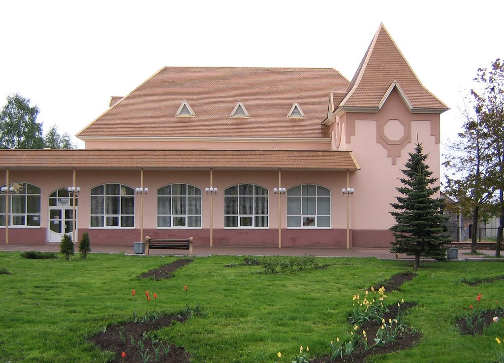 new library