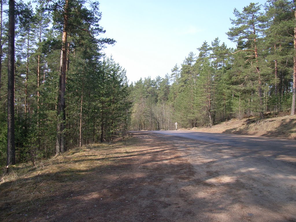30.04.2010