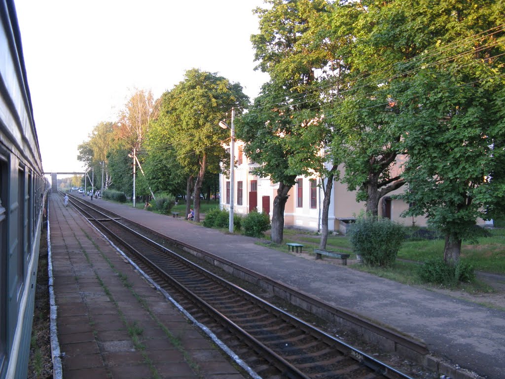 Струги Красные. Вид из окна поезда 677 Санкт-Петербург - Великие луки. 20 июля 2010 г.