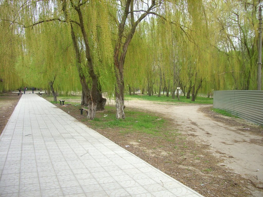 Azov 2008.