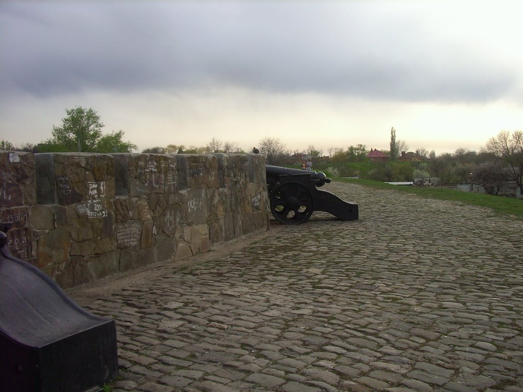 Azov 2008.