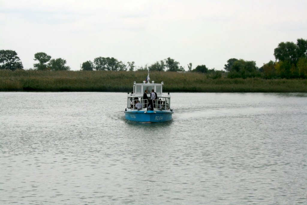 Прогулки