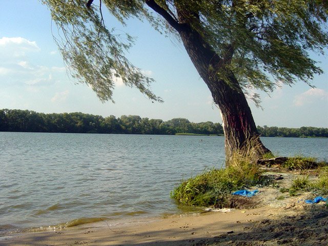 Don River. Машинный пляж. г. Азов