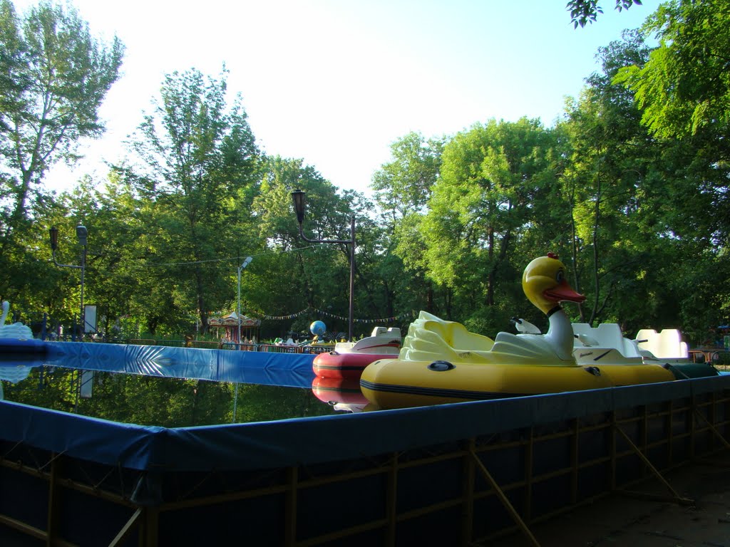 Утро в парке