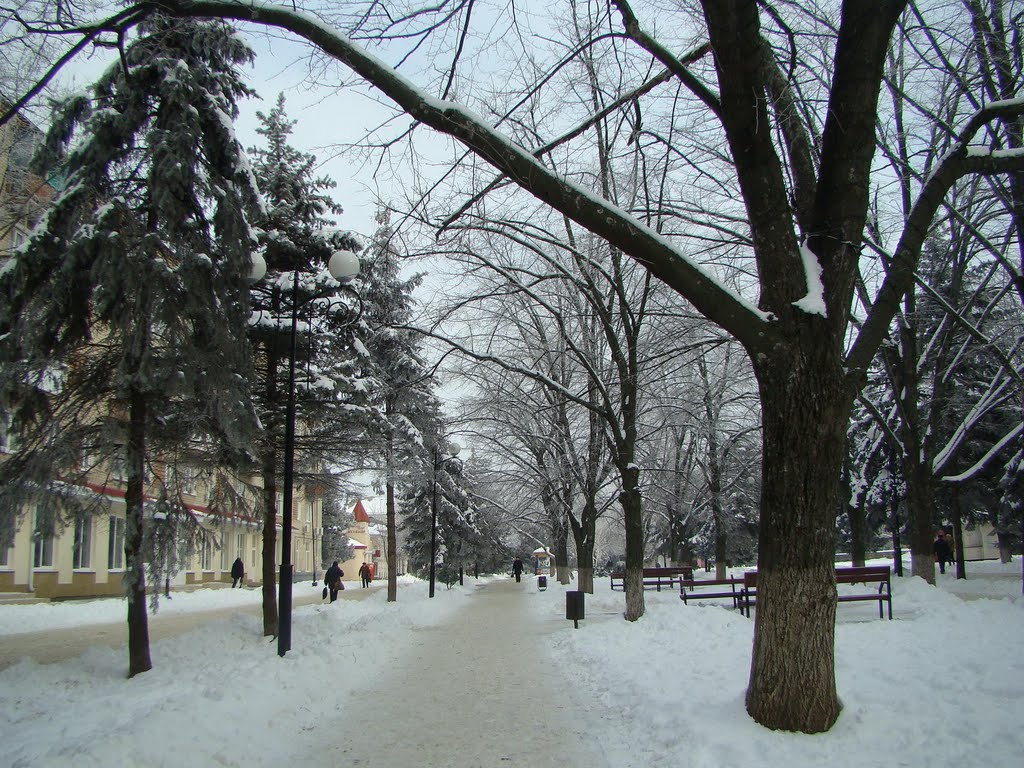 Азов в снегу